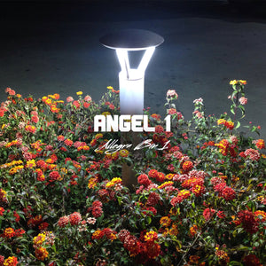 Angel 1 - "Allegra Bin 1" Cassette