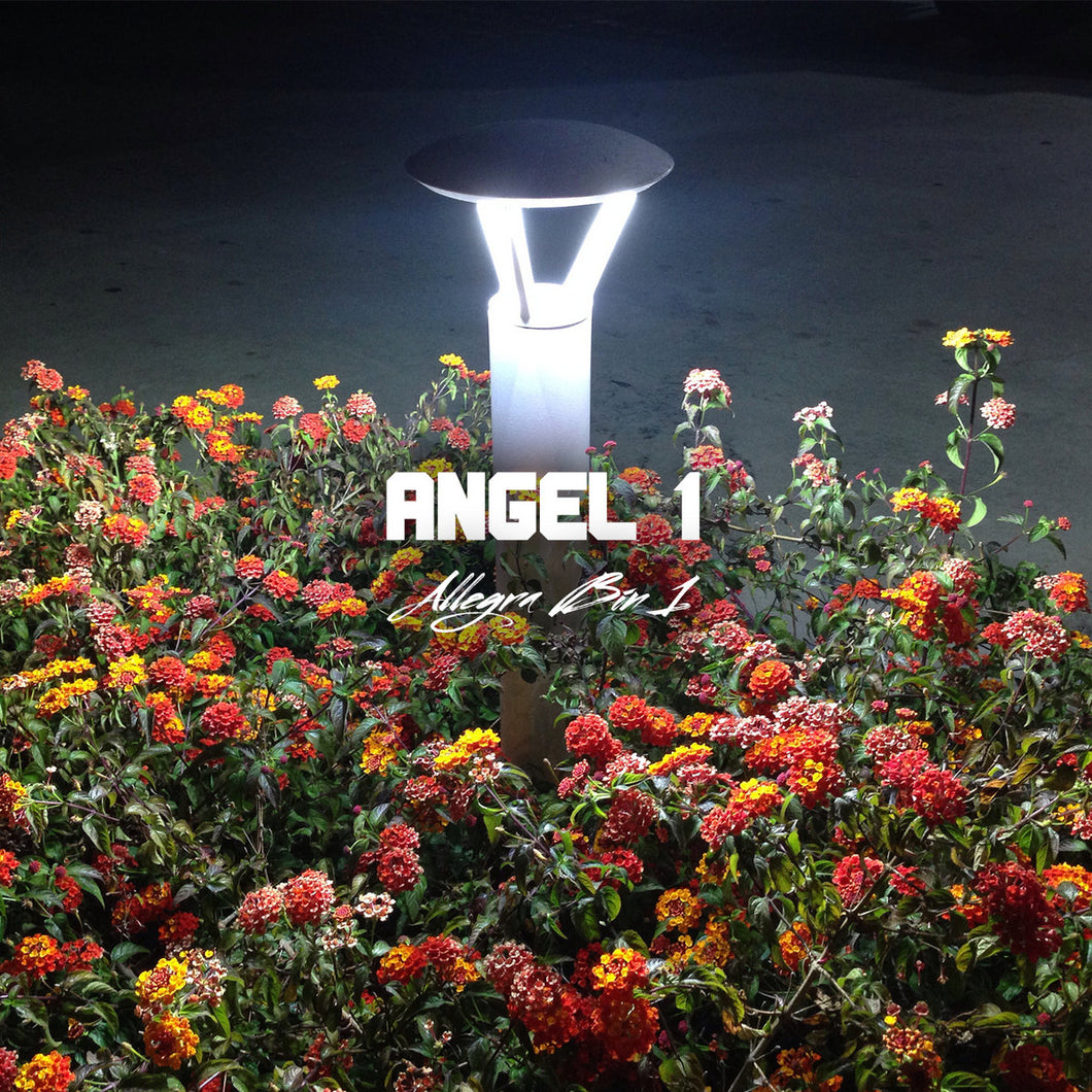 Angel 1 - 