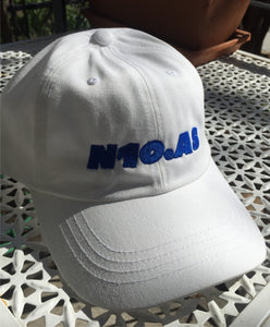 N10.AS Hat - White w/ Blue Logo